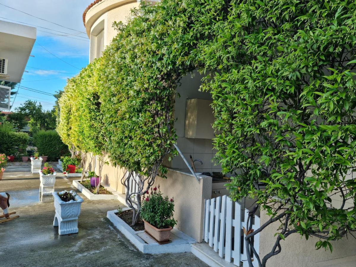 Guesthouse Novi Дуррес Экстерьер фото